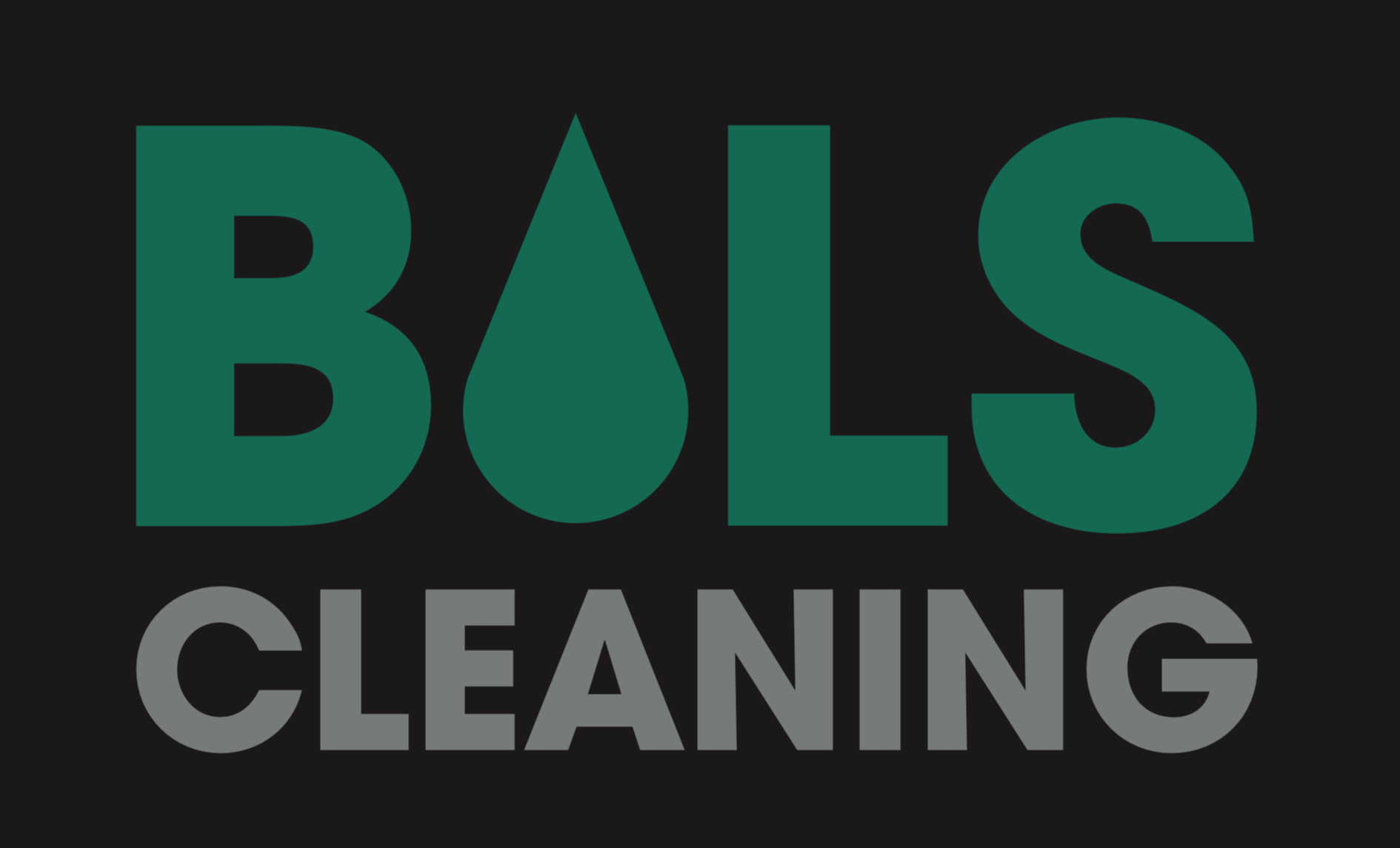 Home Subpage Image Detailling | Bols Poppel